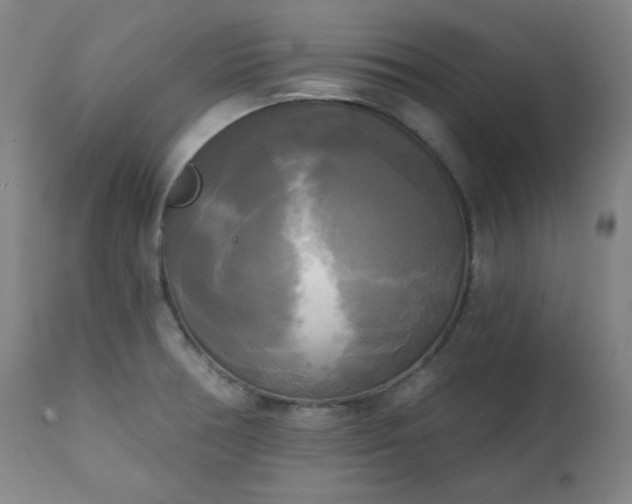 X0000111221378200907091301