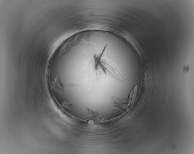 X0000111221379200907091301