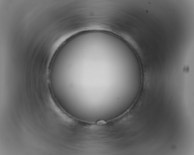 X0000111221380200907091301