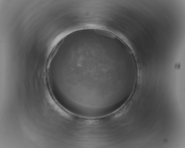 X0000111221381200907091301