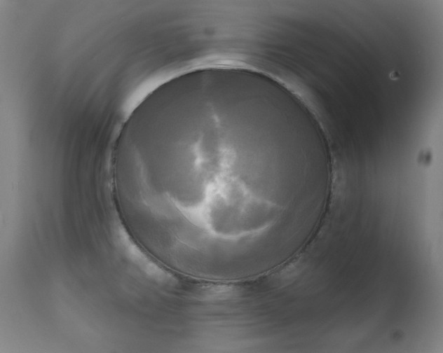X0000111221382200907091301