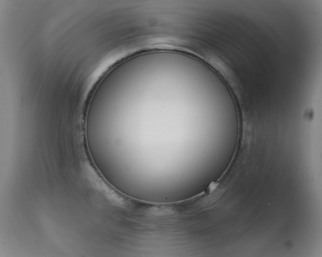 X0000111221384200907091301