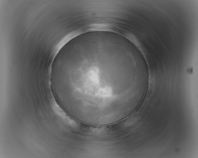X0000111221386200907091301