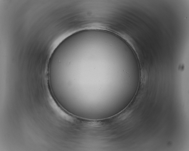 X0000111221387200907091301