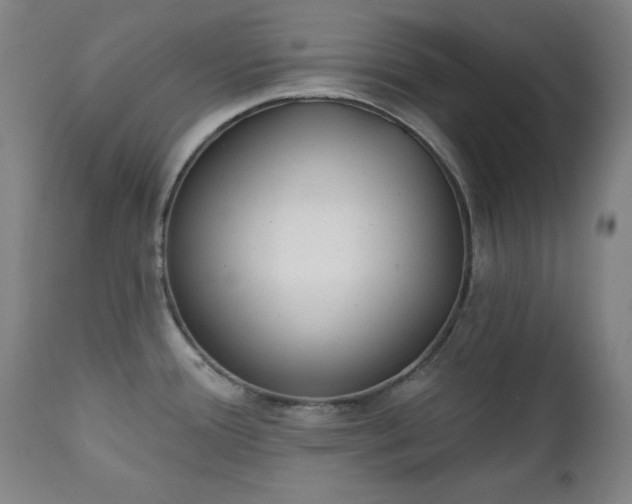 X0000111221388200907091301