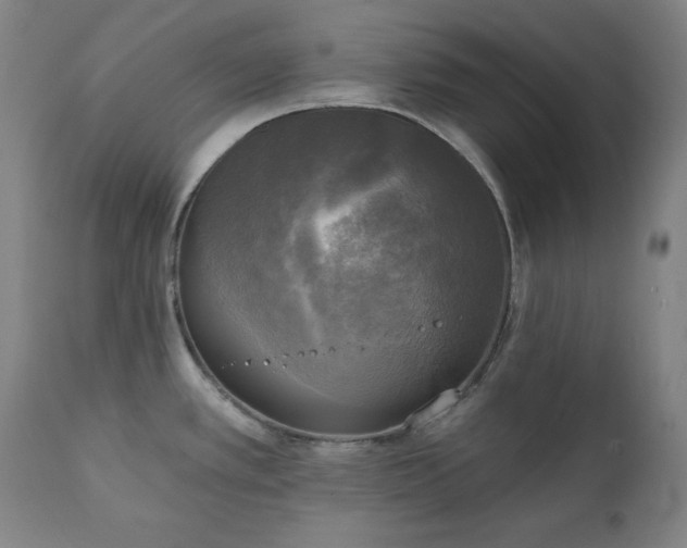 X0000111221389200907091301