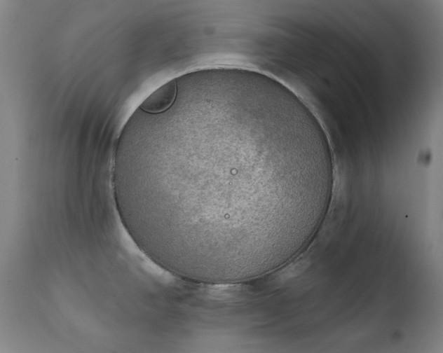 X0000111221390200907091301