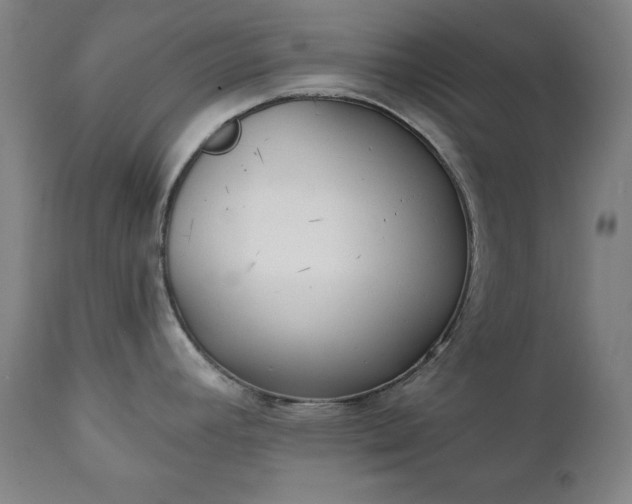 X0000111221392200907091301