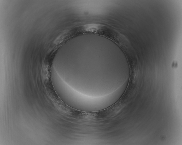 X0000111221394200907091300