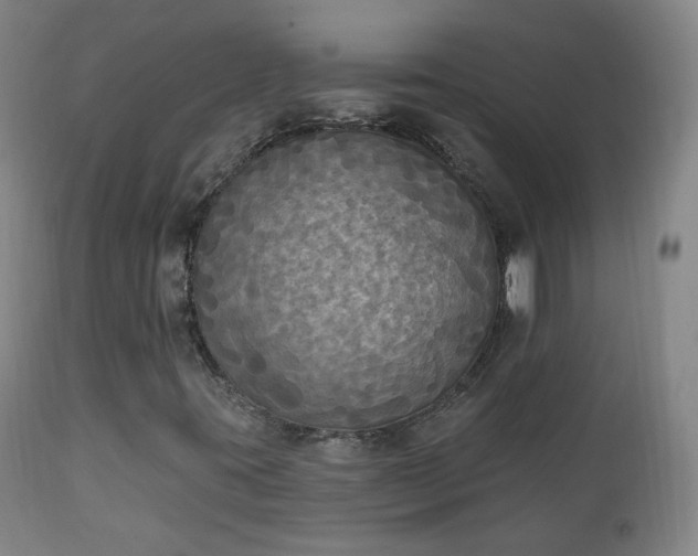 X0000111221395200907091300
