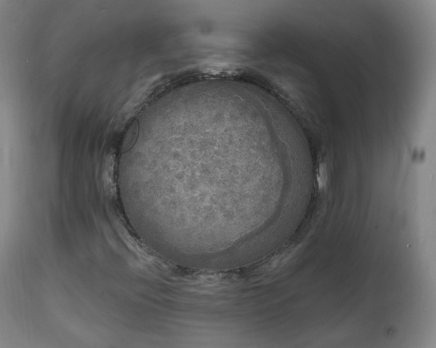 X0000111221396200907091300