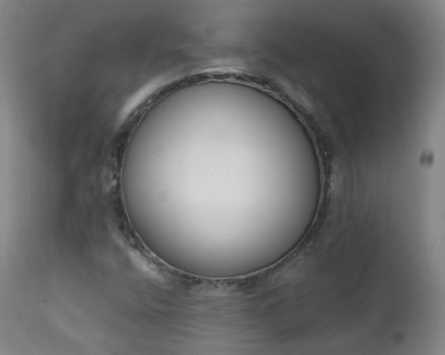 X0000111221400200907091300