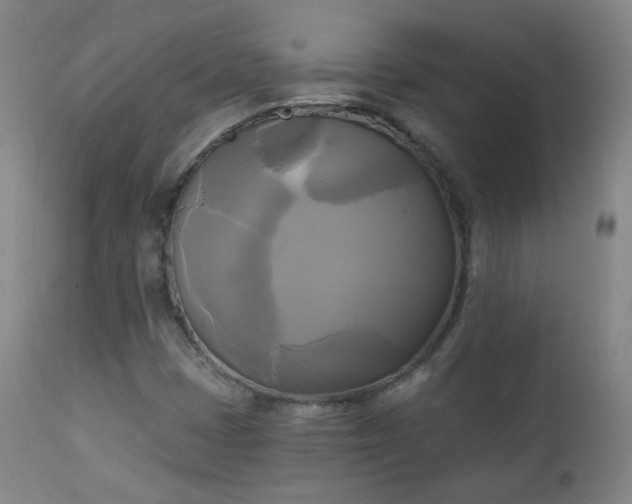 X0000111221401200907091300