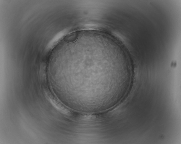 X0000111221403200907091300