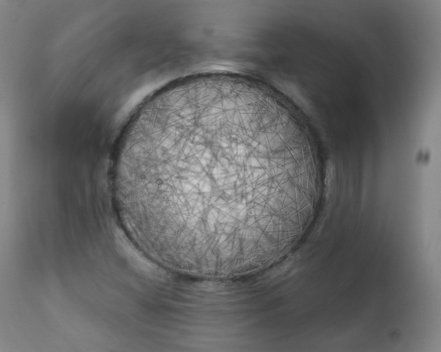 X0000111221404200907091301