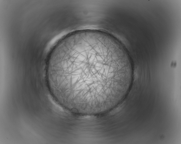 X0000111221406200907091301