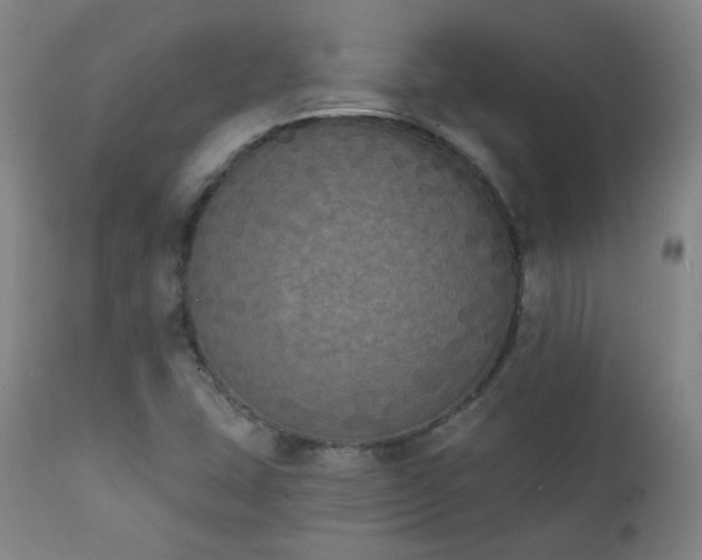 X0000111221407200907091301