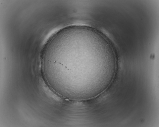 X0000111221408200907091301