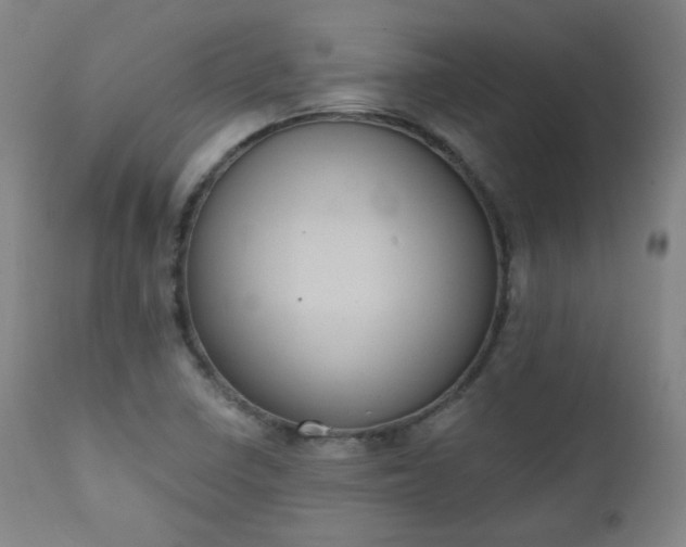 X0000111221410200907091301