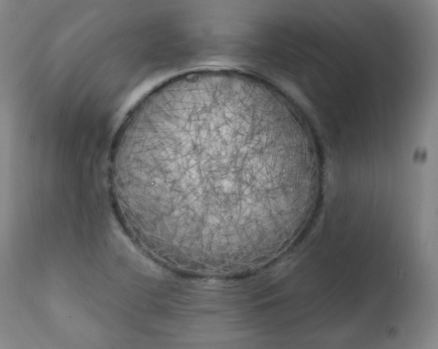 X0000111221412200907091301