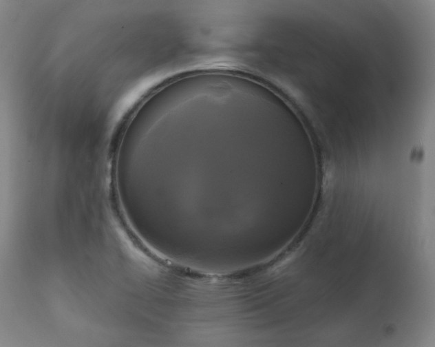 X0000111221414200907091301