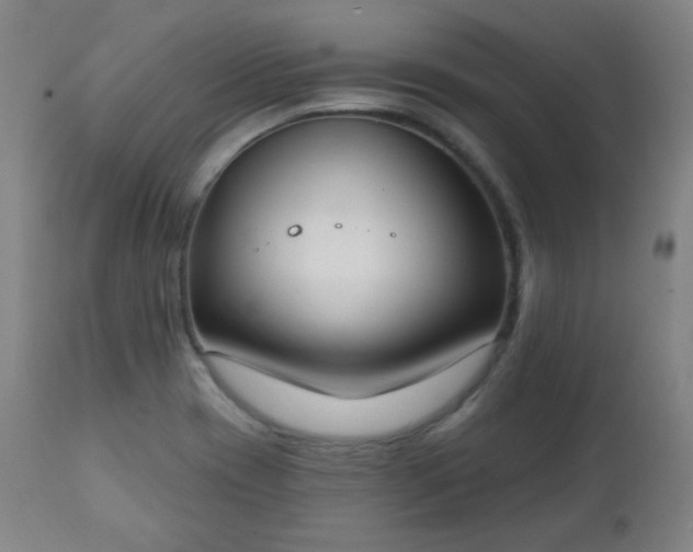 X0000111221417200907091301