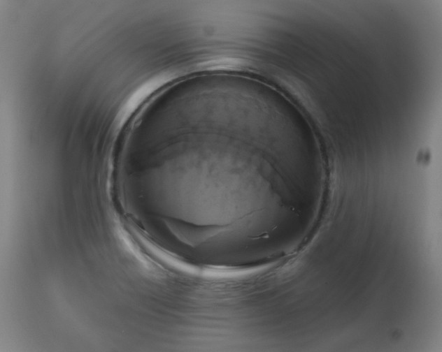 X0000111221418200907091301