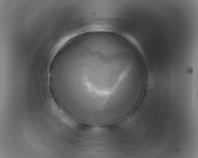 X0000111221419200907091301