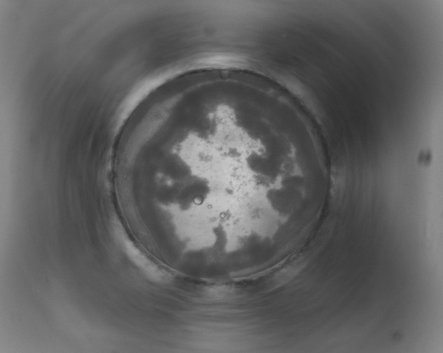 X0000111221421200907091301