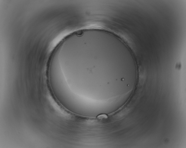 X0000111221422200907091301