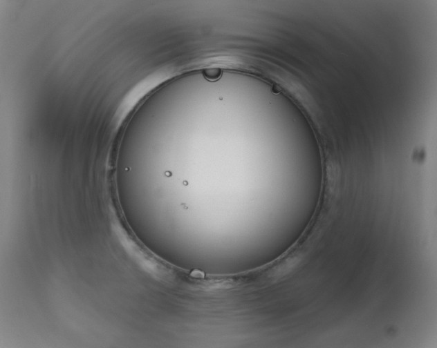 X0000111221426200907091301
