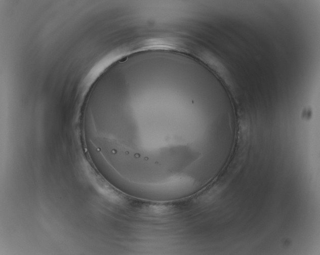 X0000111221427200907091301