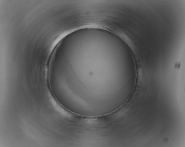 X0000111221428200907091301