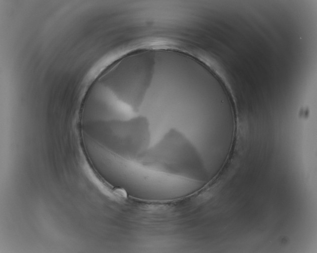 X0000111221429200907091301