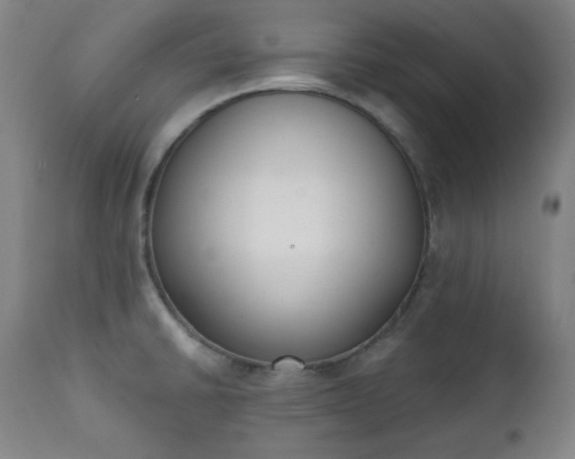 X0000111221430200907091301