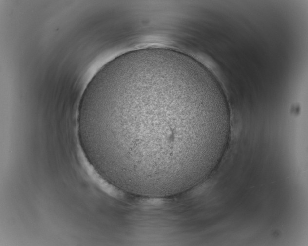 X0000111221431200907091301