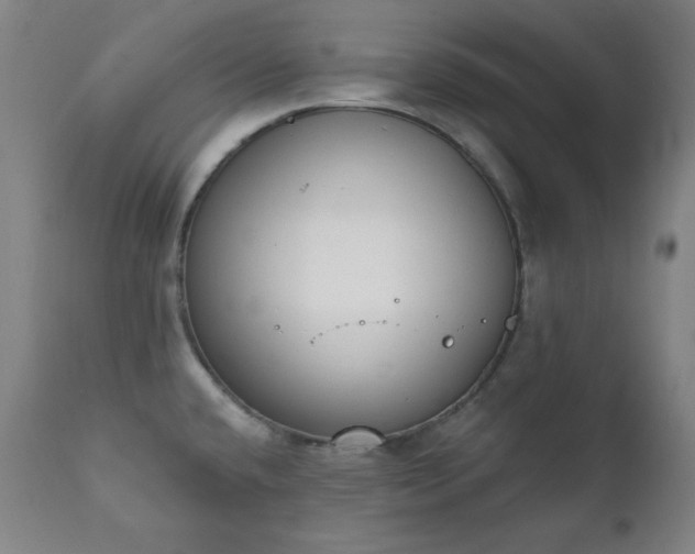 X0000111221432200907091301