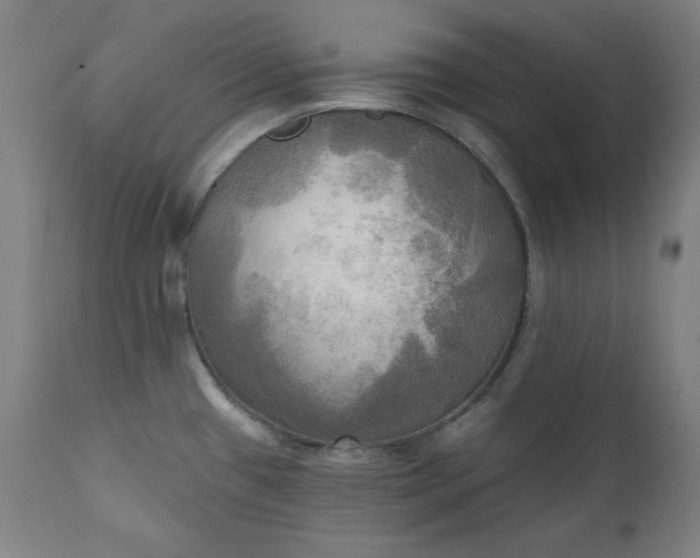 X0000111221433200907091301