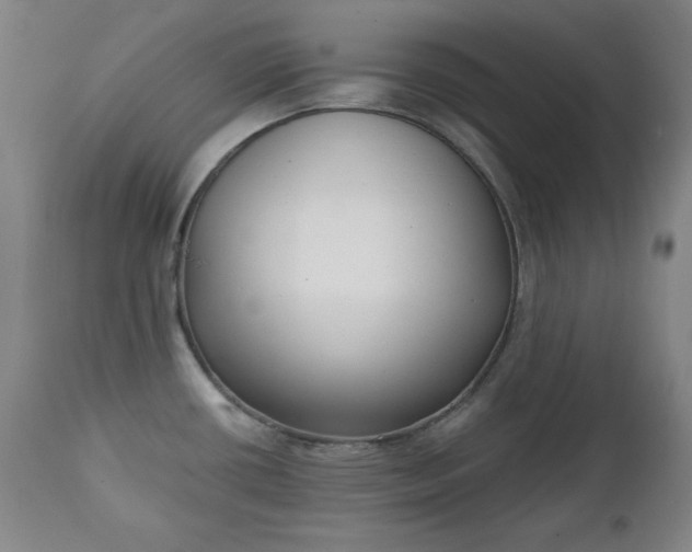 X0000111221434200907091301