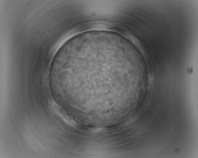 X0000111221435200907091301