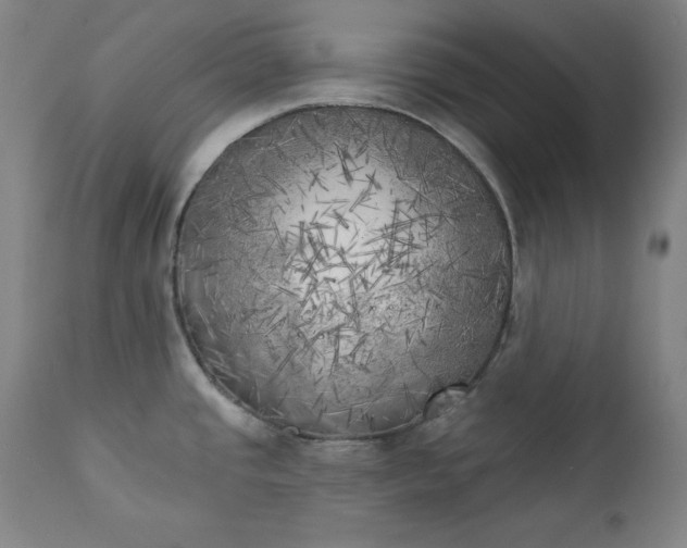 X0000111221437200907091301