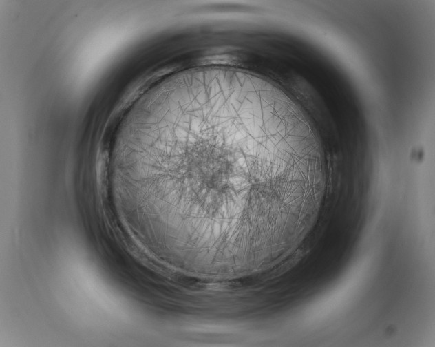 X0000111221438200907091301