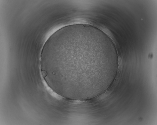 X0000111221439200907091301