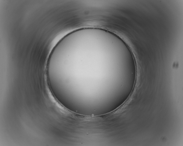 X0000111221440200907091301