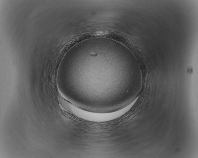 X0000111221441200907091300