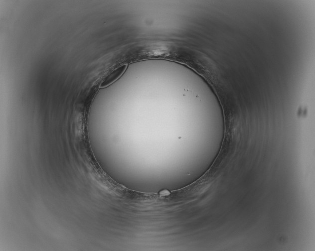 X0000111221442200907091300