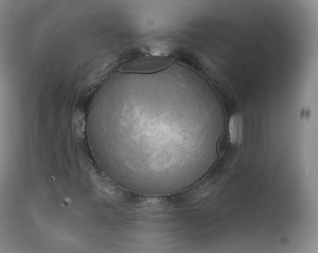X0000111221443200907091300