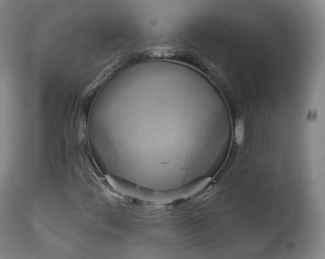 X0000111221444200907091300