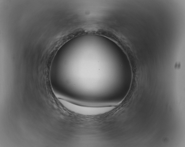 X0000111221445200907091300