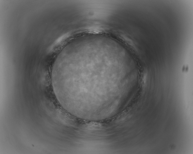 X0000111221446200907091300